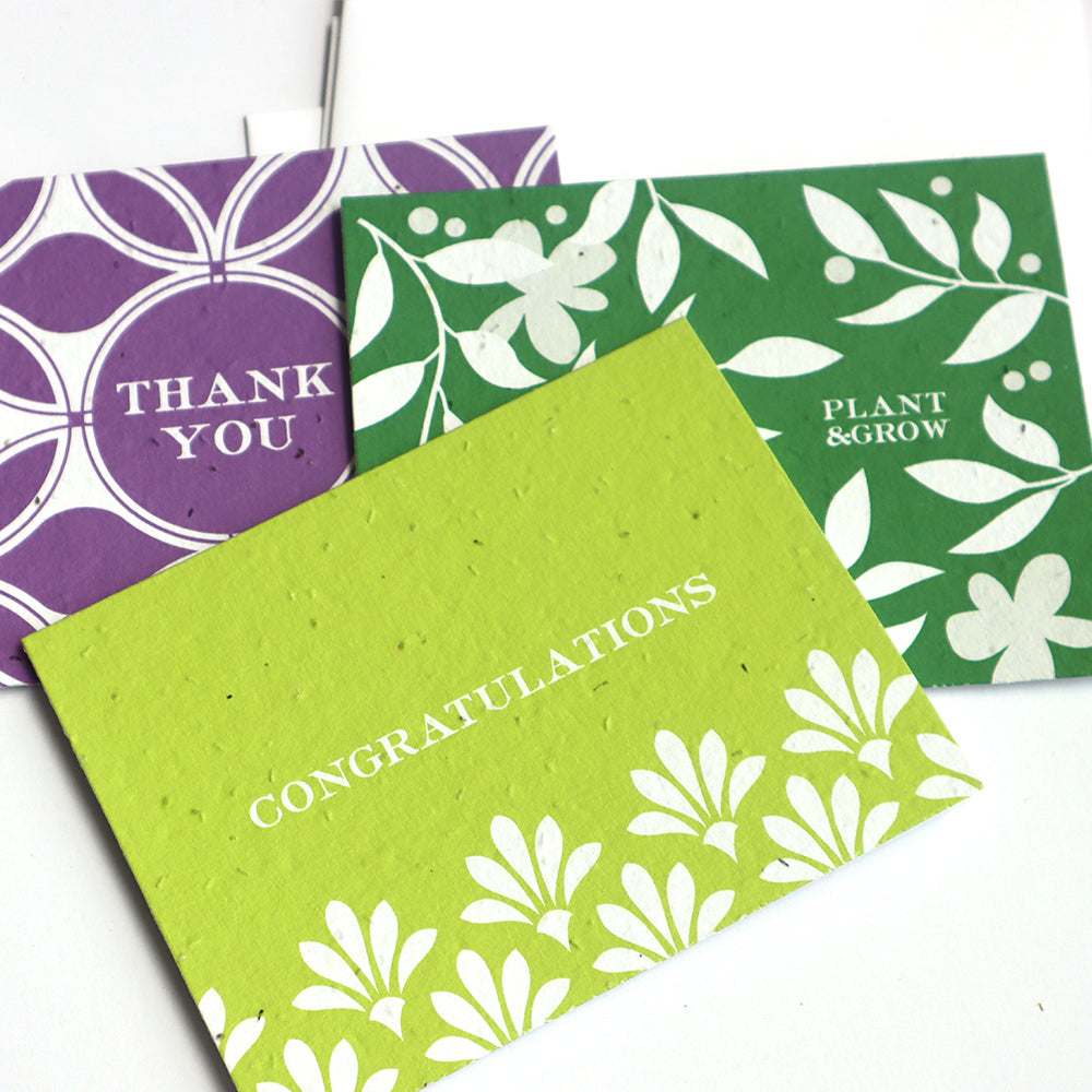 Plantable Gift Kit