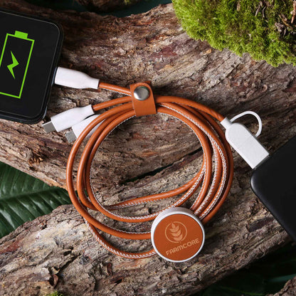 3-In-1 Charging Cable